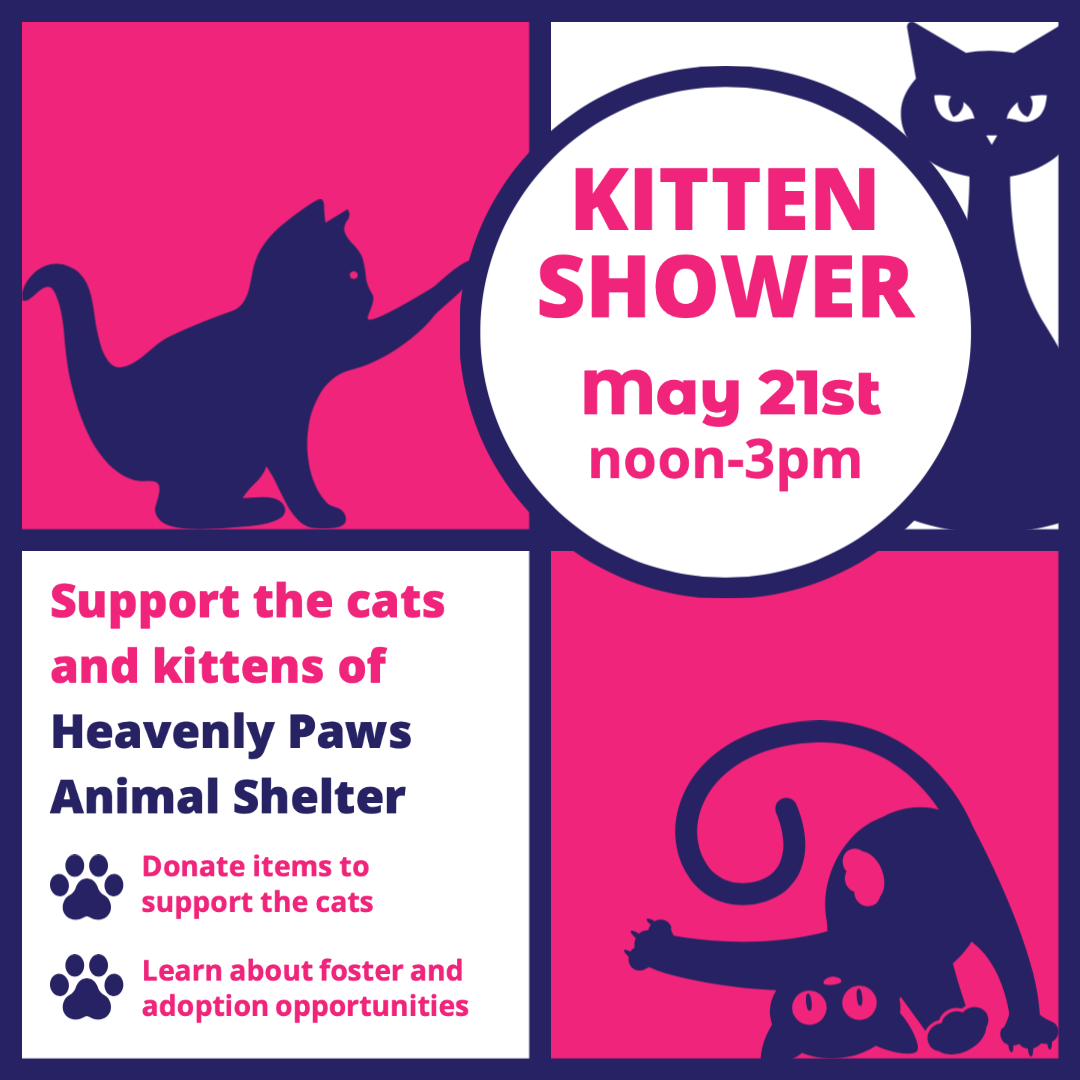Kitten Shower and Adoption Event with Heavenly Paws Rescue