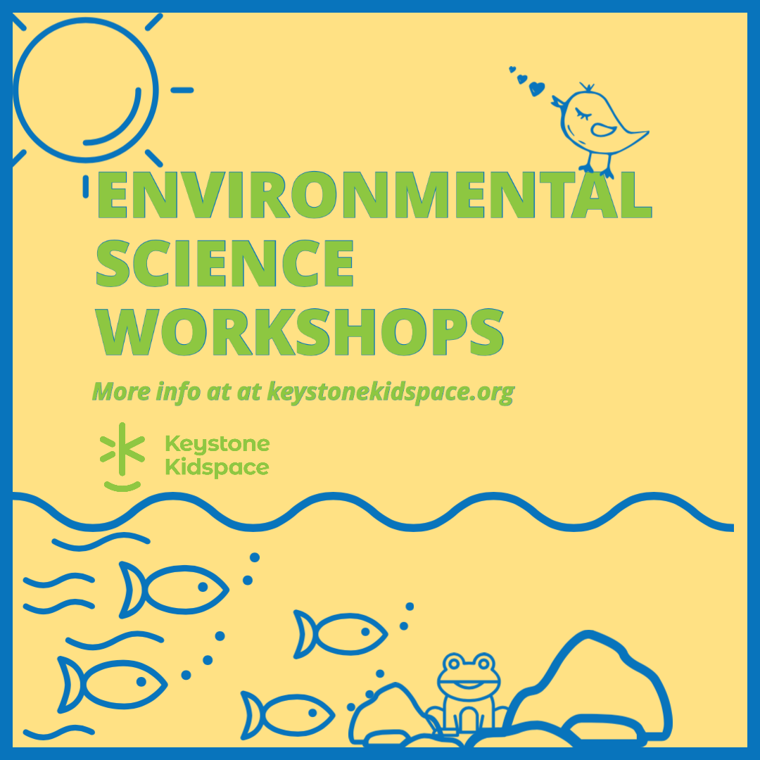 Environmental Science Series: Fish Frenzy Mini Camp
